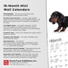 image Dachshund Puppies 2024 Mini Wall Calendar Fourth Alternate Image width=&quot;1000&quot; height=&quot;1000&quot;