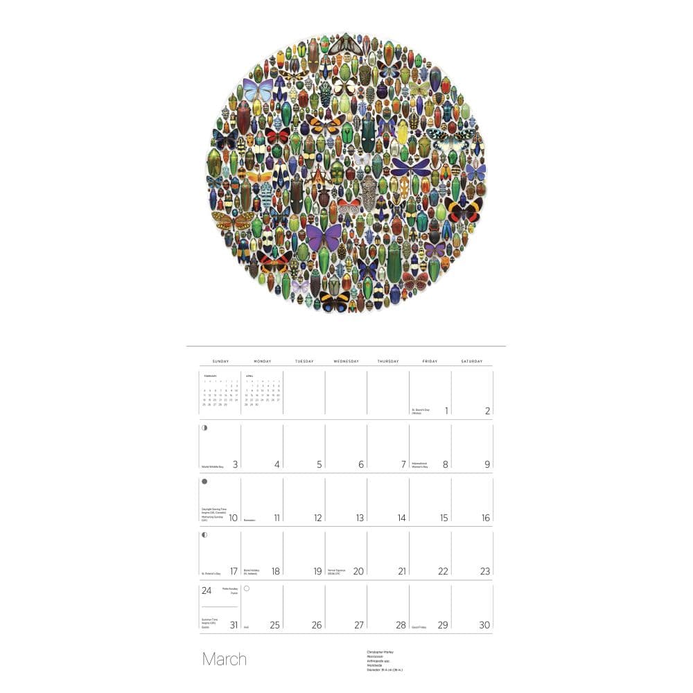 Exquisite Creatures 2024 Wall Calendar