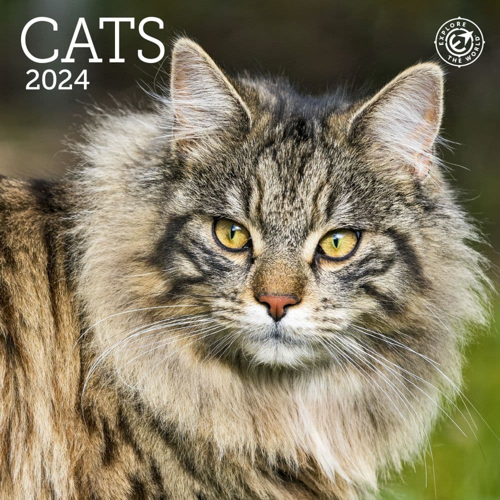 Cats 2024 Mini Wall Calendar Calendars Com   50f7ca73 C1fa 4df1 B2f8 7a868caf62ce