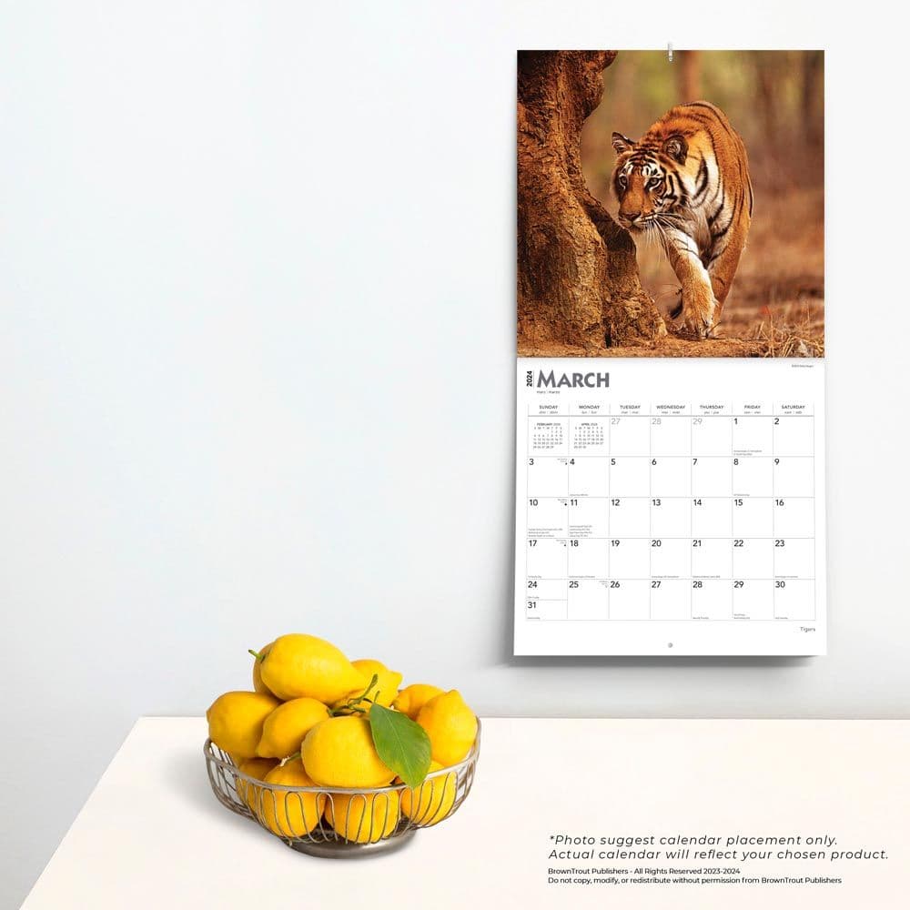 Tigers 2024 Wall Calendar