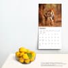 image Tigers 2024 Wall Calendar Third Alternate Image width=&quot;1000&quot; height=&quot;1000&quot;