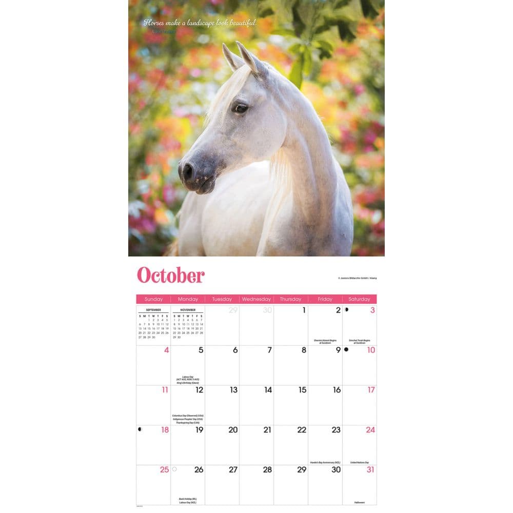 Horse Lovers Special Value 2026 Wall Calendar Fourth Alternate Image