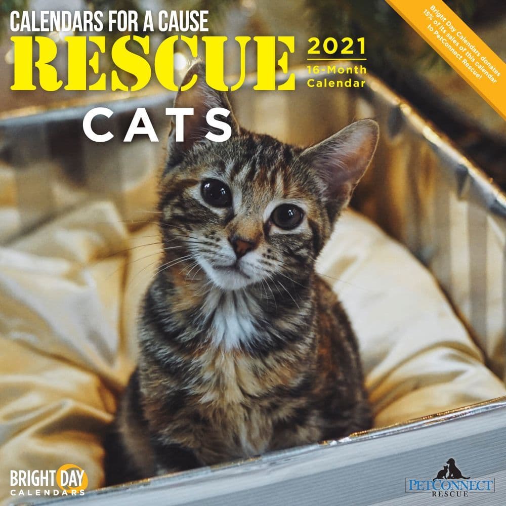 Cats Rescue Wall Calendar