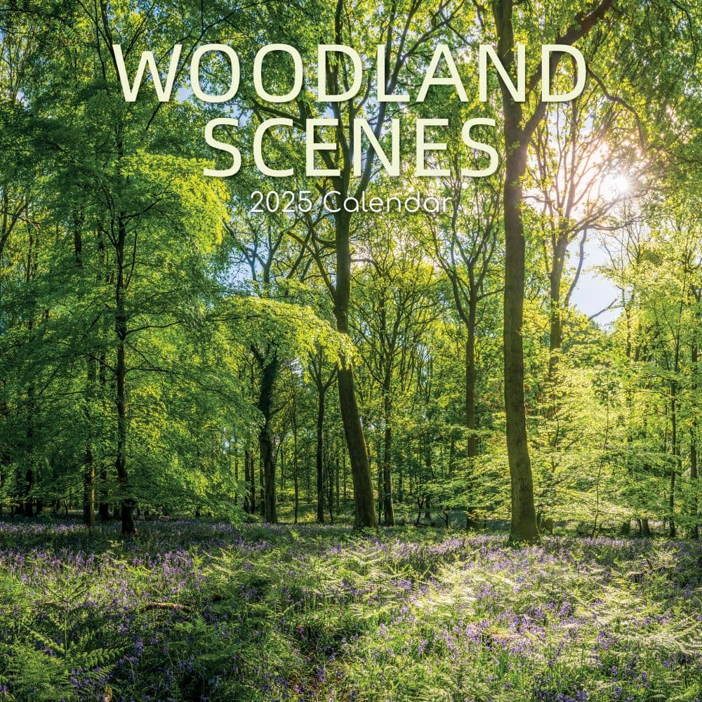 Woodland 2025 Wall Calendar