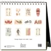 image Anatomy 2026 Easel Desk Calendar First Alternate Image