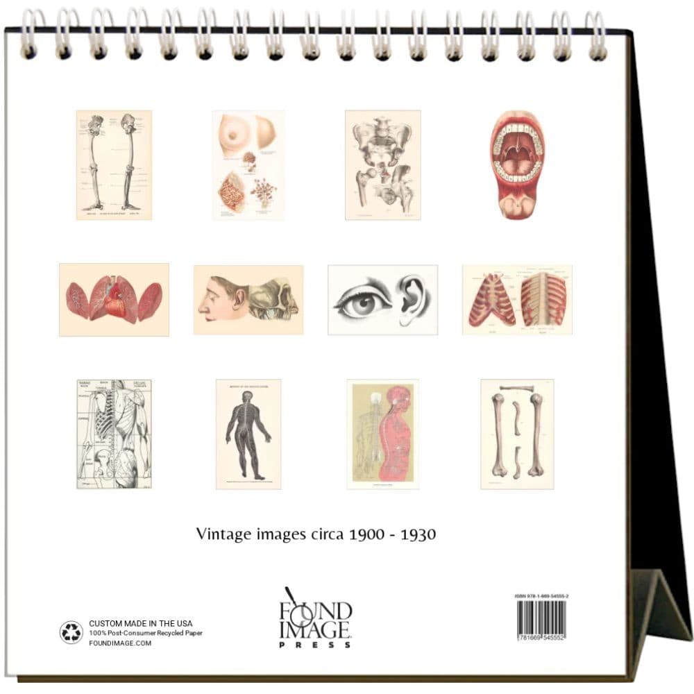 Anatomy 2026 Easel Desk Calendar First Alternate Image