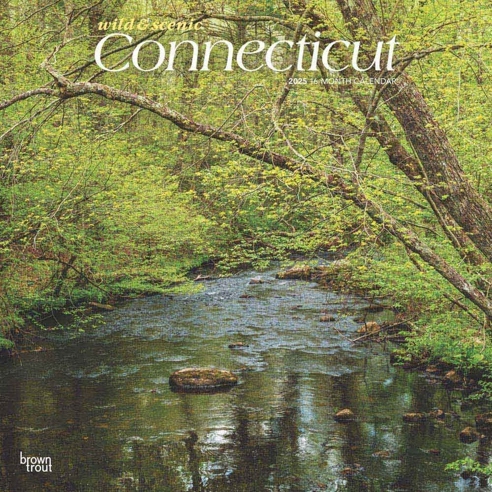 Connecticut Wild and Scenic 2025 Wall Calendar Main Image