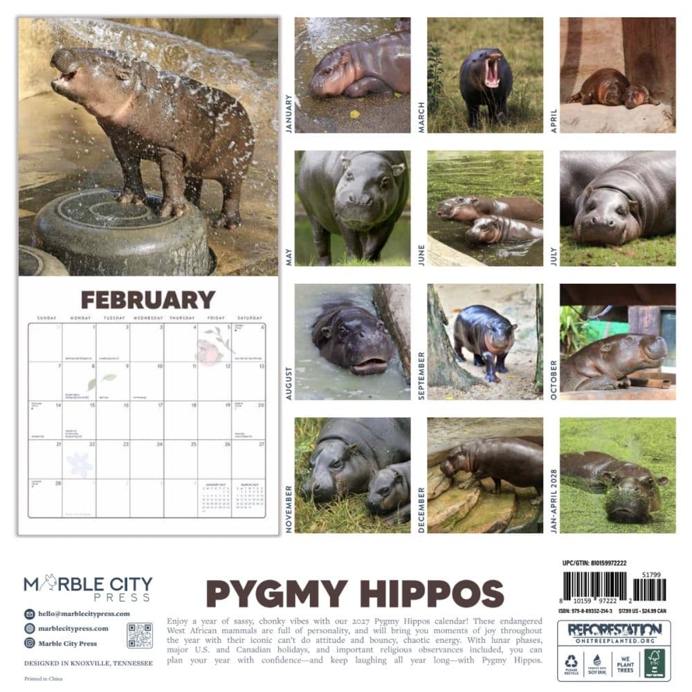 Pygmy Hippos 2027 Wall Calendar First Alternate Imag