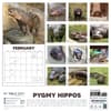 image Pygmy Hippos 2027 Wall Calendar First Alternate Imag