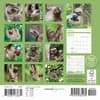 image Sloths 2026 Mini Wall Calendar First Alternate Image