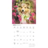 image Shetland Sheepdogs 2026 Wall Calendar Third Alternate Image