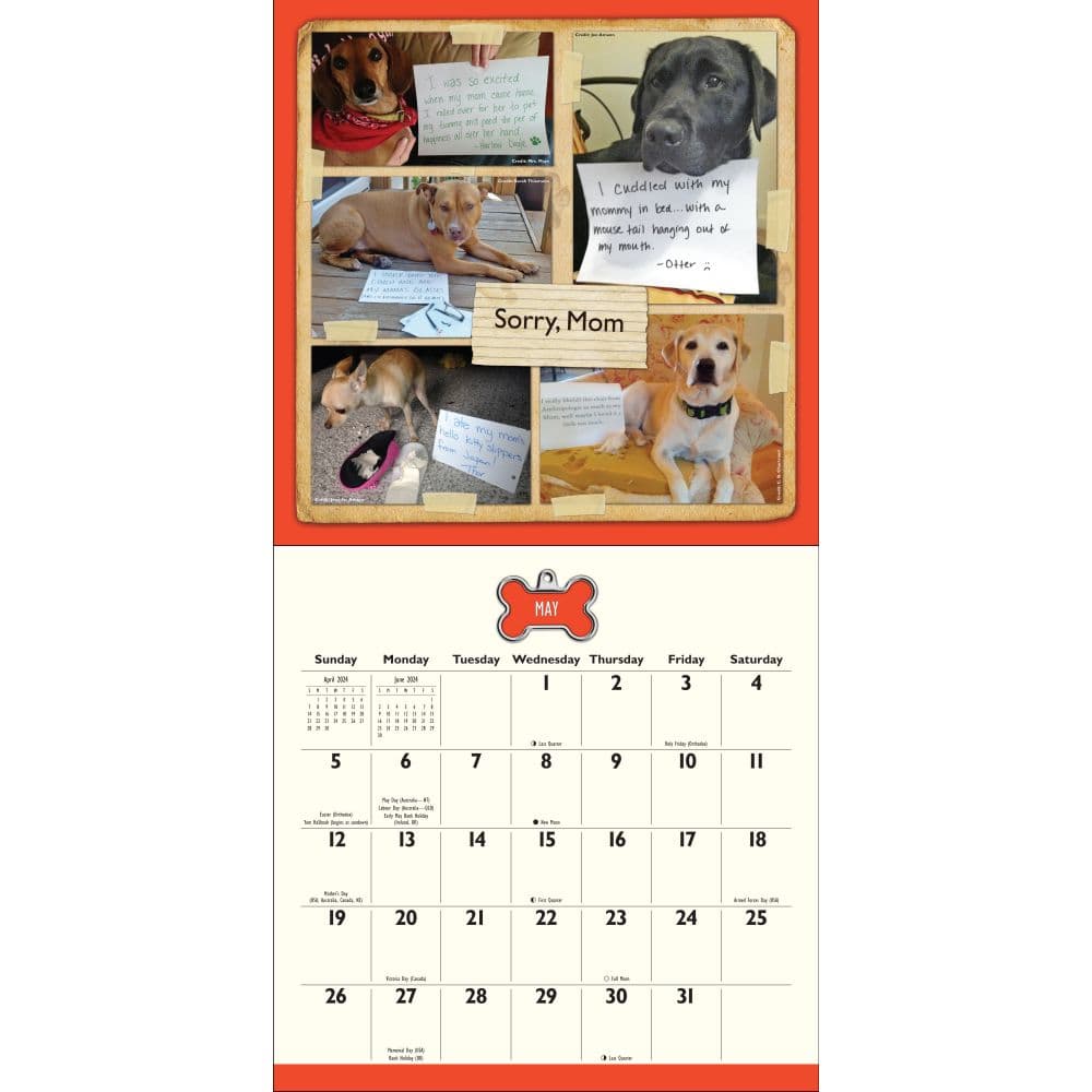 Dog Shaming 2024 Wall Calendar