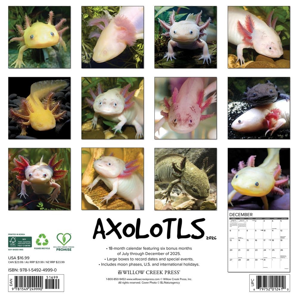 Axolotls 2026 Wall Calendar First Alternate Image