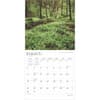 image Great Smokies 2025 Wall Calendar