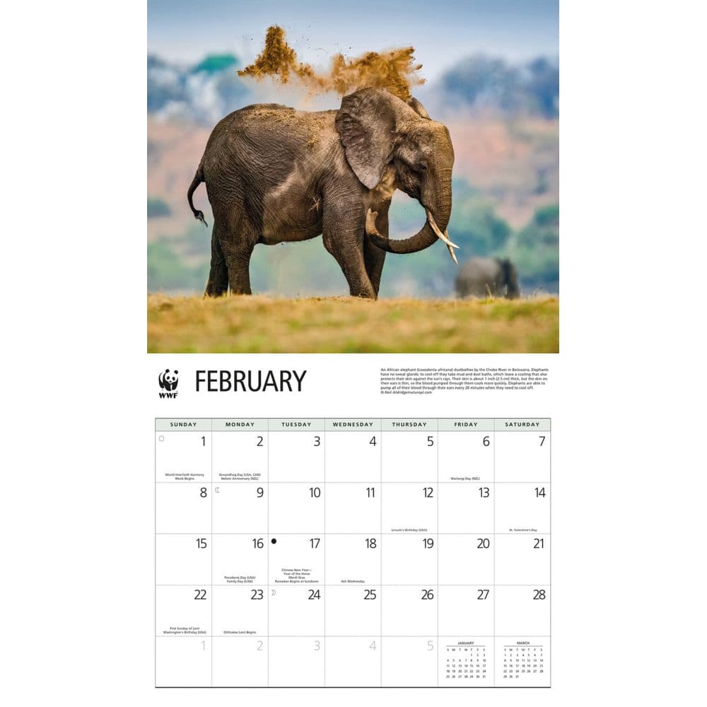 Elephants WWF 2026 Wall Calendar Second Alternate Image