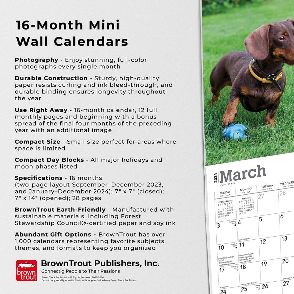 Dachshunds 2024 Mini Wall Calendar