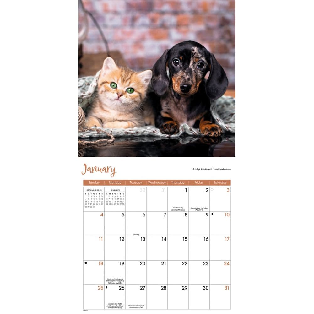 Kittens and Puppies 2026 Mini Wall Calendar Second Alternate Image