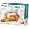 image Cats What Cats Teach Us 2024 Desk Calendar Front of Box