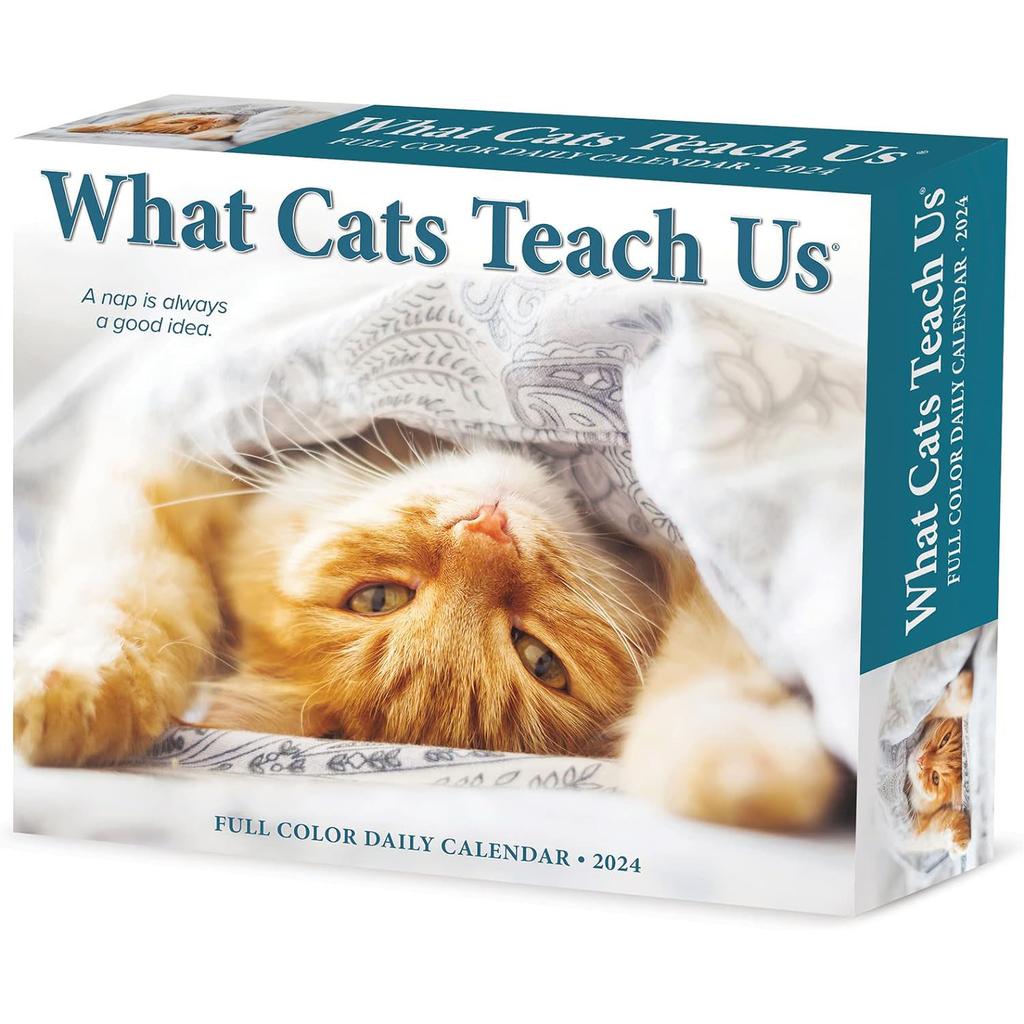 Cats What Cats Teach Us 2024 Desk Calendar Front of Box