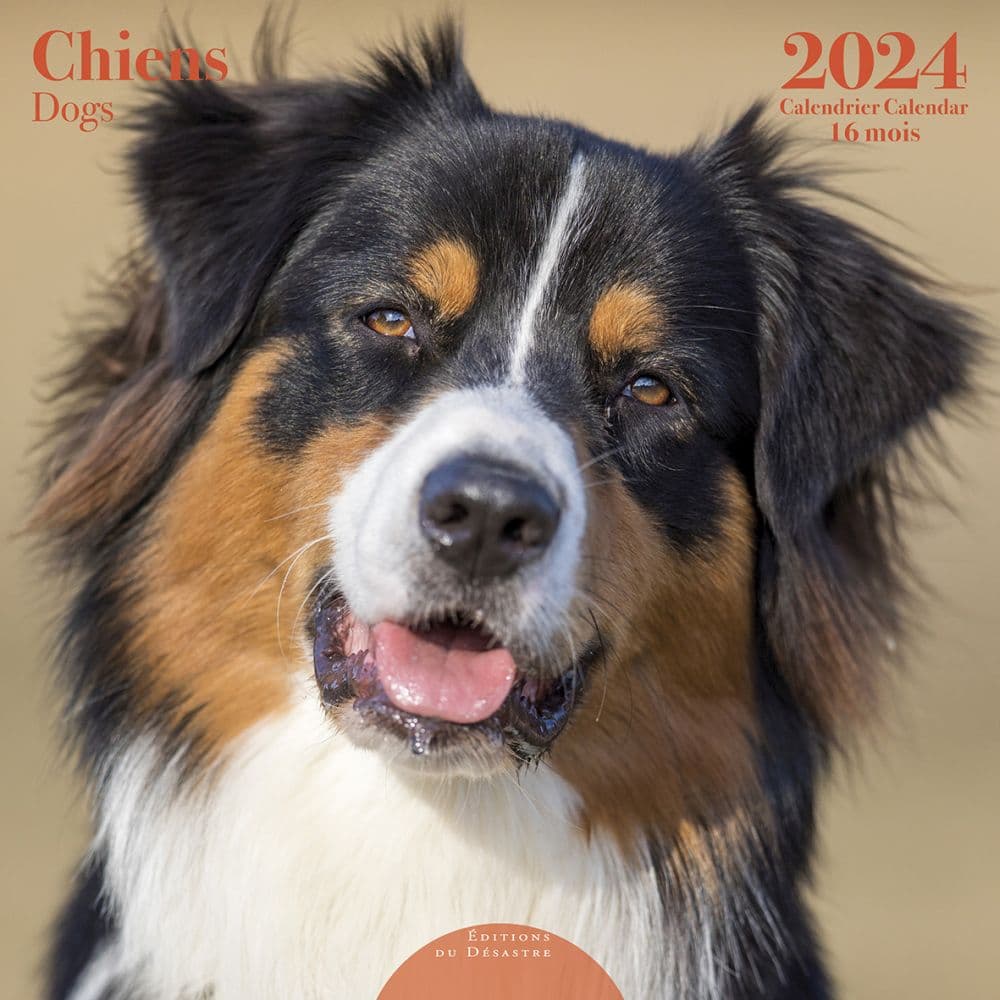 Dogs 2024 Wall Calendar Calendars Com   518c1c43 5a72 4a57 A9ed 20e7fd415295