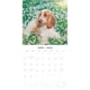 image English Cocker Spaniels 2025 Wall Calendar Alt2