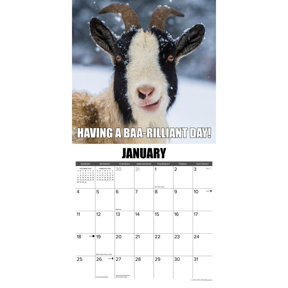 You Goat This 2026 Wall Calendar Second Alternate Image
