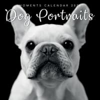 image Dog Portraits 2026 Wall Calendar  Main Image