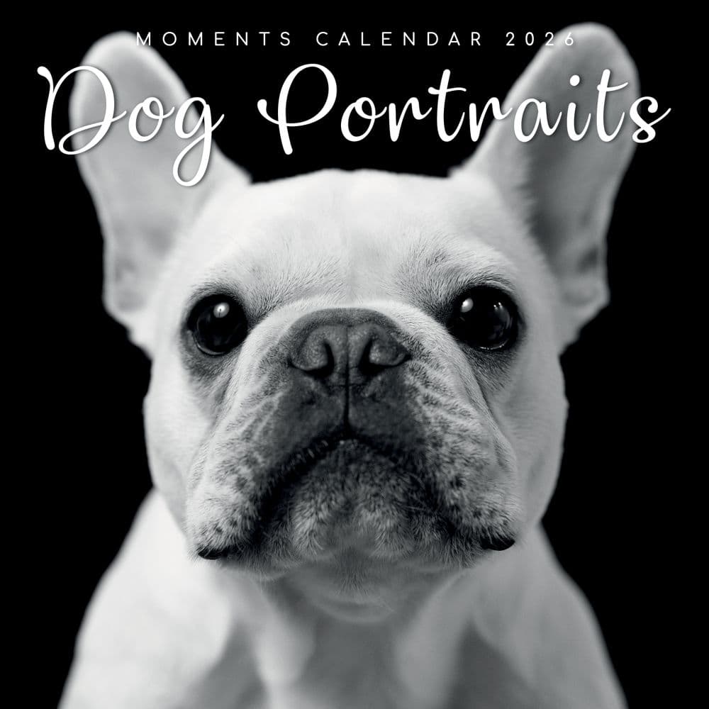 Dog Portraits 2026 Wall Calendar  Main Image