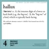 image 365 New Words a Year 2027 Desk Calendar Fourth Alternate Image
