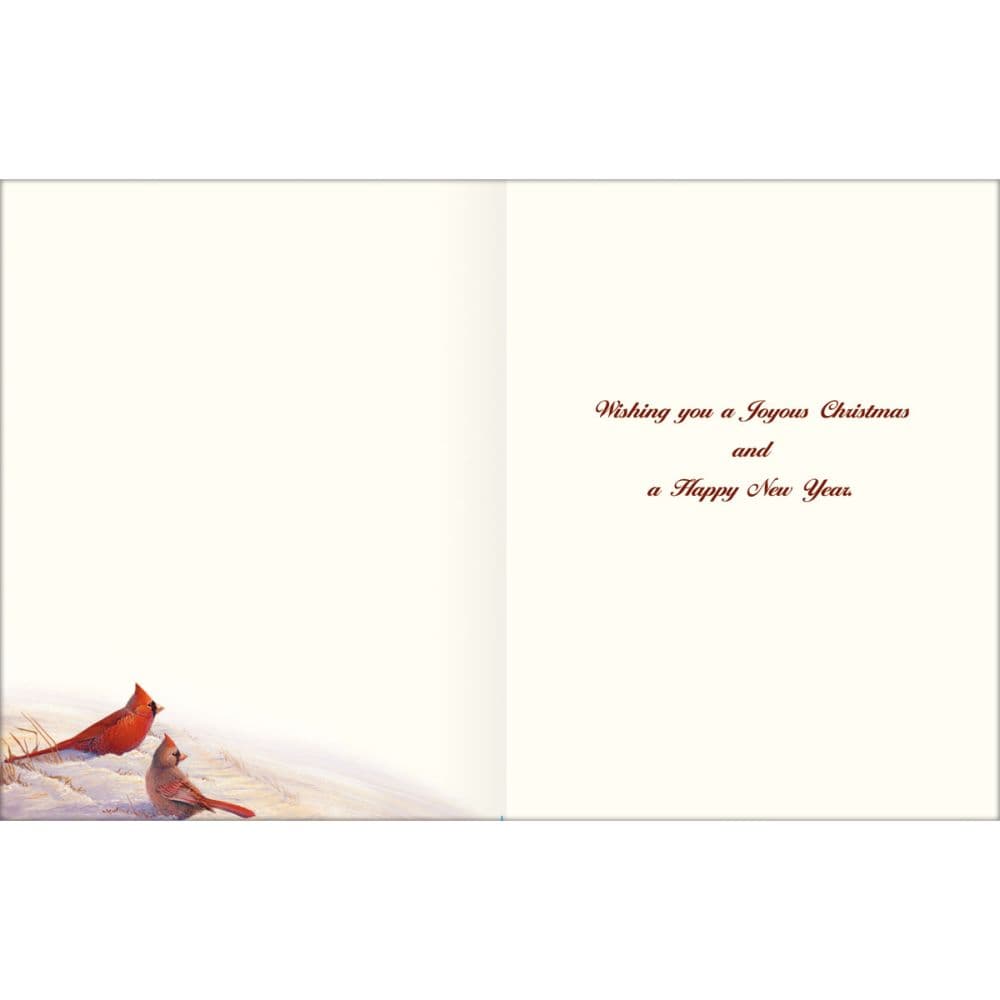 Wintertime Cardinal Christmas Cards by Sam Timm 3rd Product Detail  Image width="1000" height="1000"