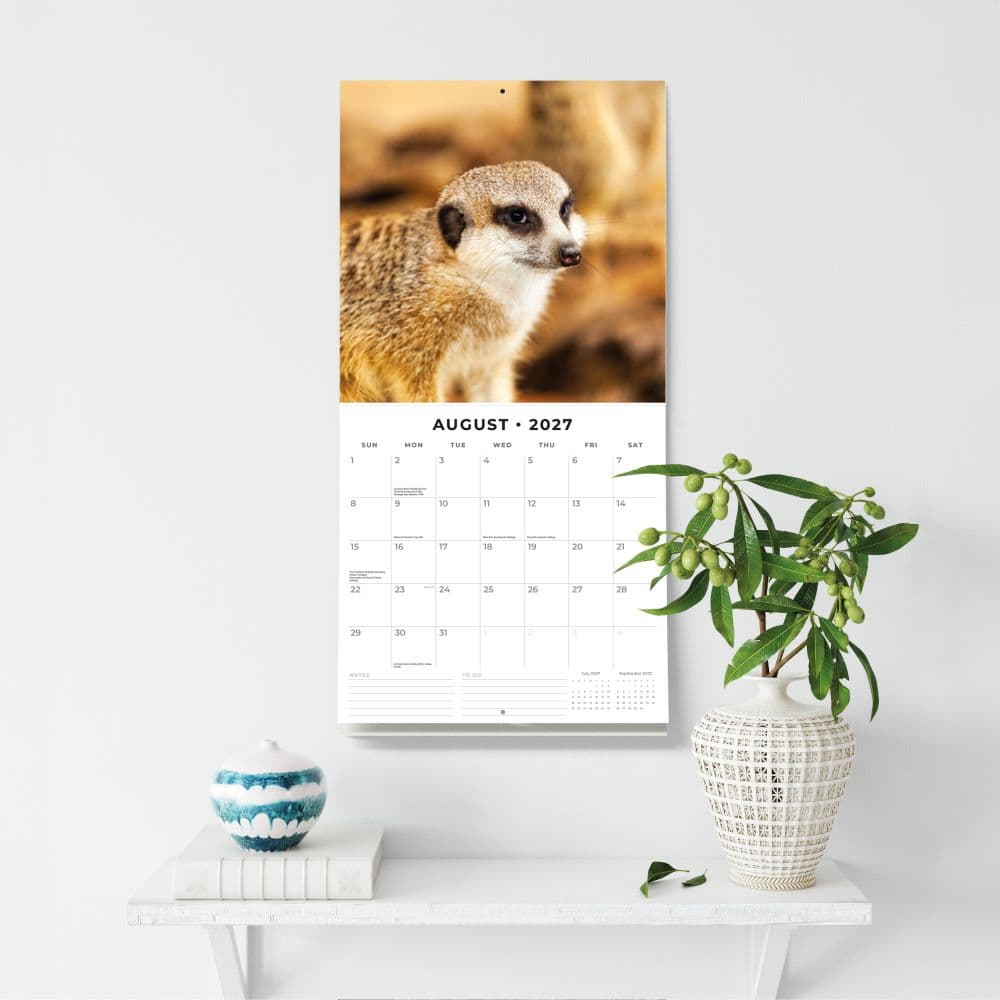 Meerkats 2027 Wall Calendar Fifth Alternate Image