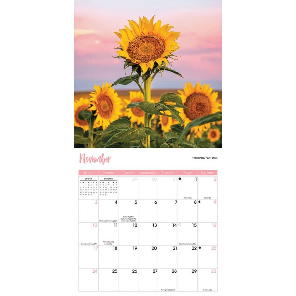 Sunflowers 2024 Wall Calendars