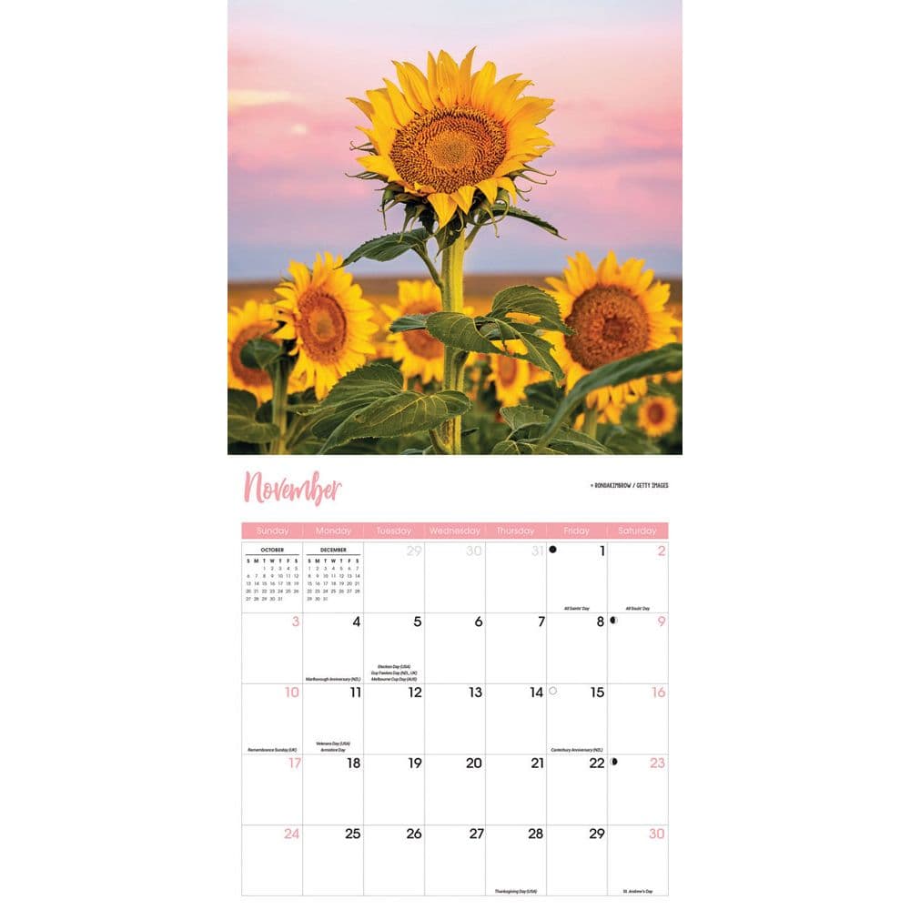 Sunflowers 2024 Wall Calendars Calendars Com   51e7e31e 5d0c 4764 B698 44edc8ca7869