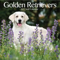 image Golden Retrievers Photo 2027 Wall Calendar Main Product Image