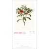 image New York Botanical Garden 2026 Wall Calendar Second Alternate Image 