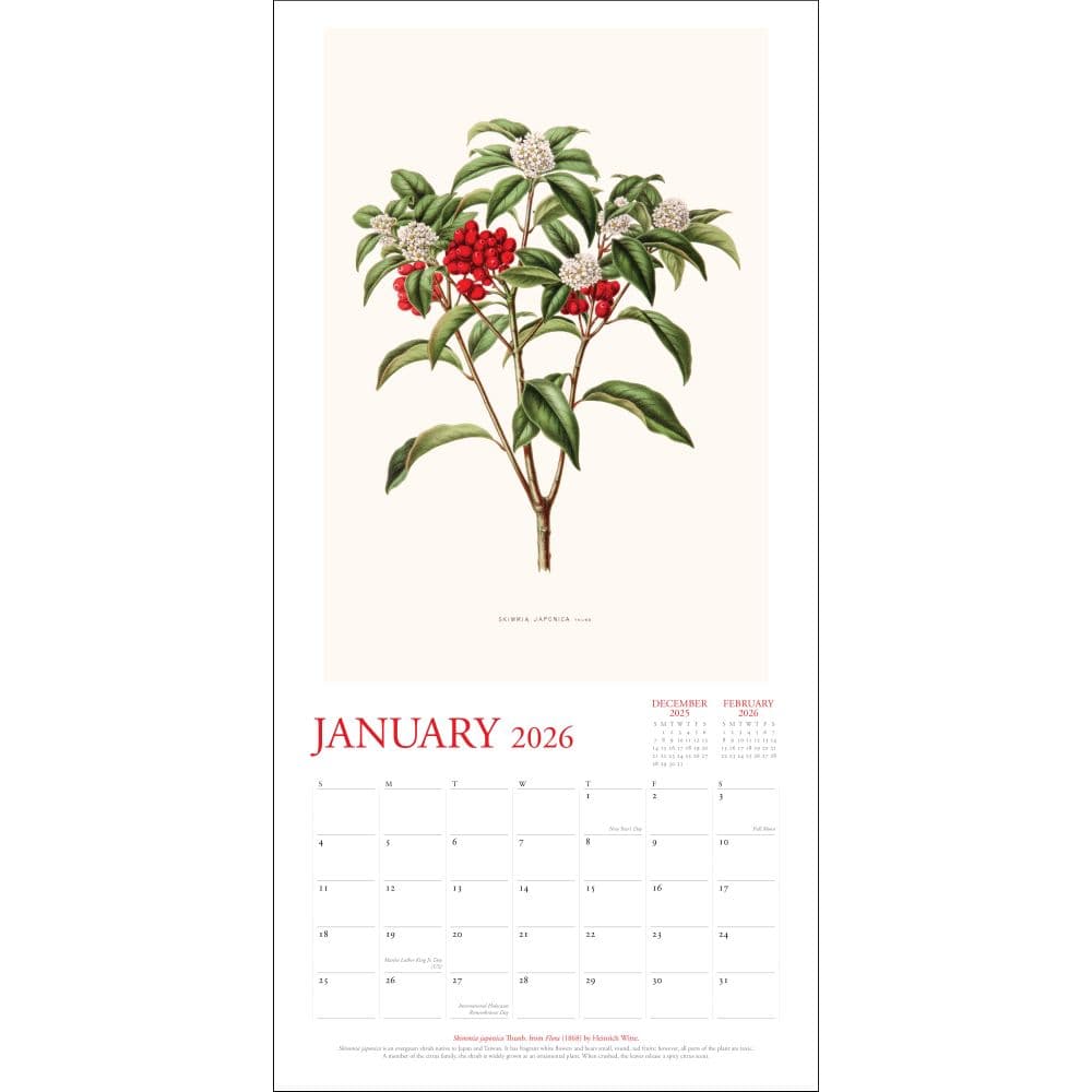 New York Botanical Garden 2026 Wall Calendar Second Alternate Image 