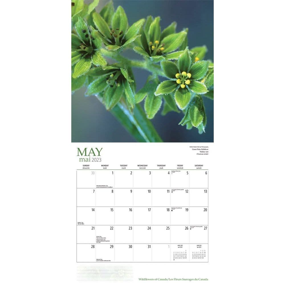 Calendrier Beaute 2023 Wildflowers 2023 Wall Calendar - Calendars.com