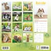 image Rabbits 2025 Wall Calendar First Alternate Image width=&quot;1000&quot; height=&quot;1000&quot;