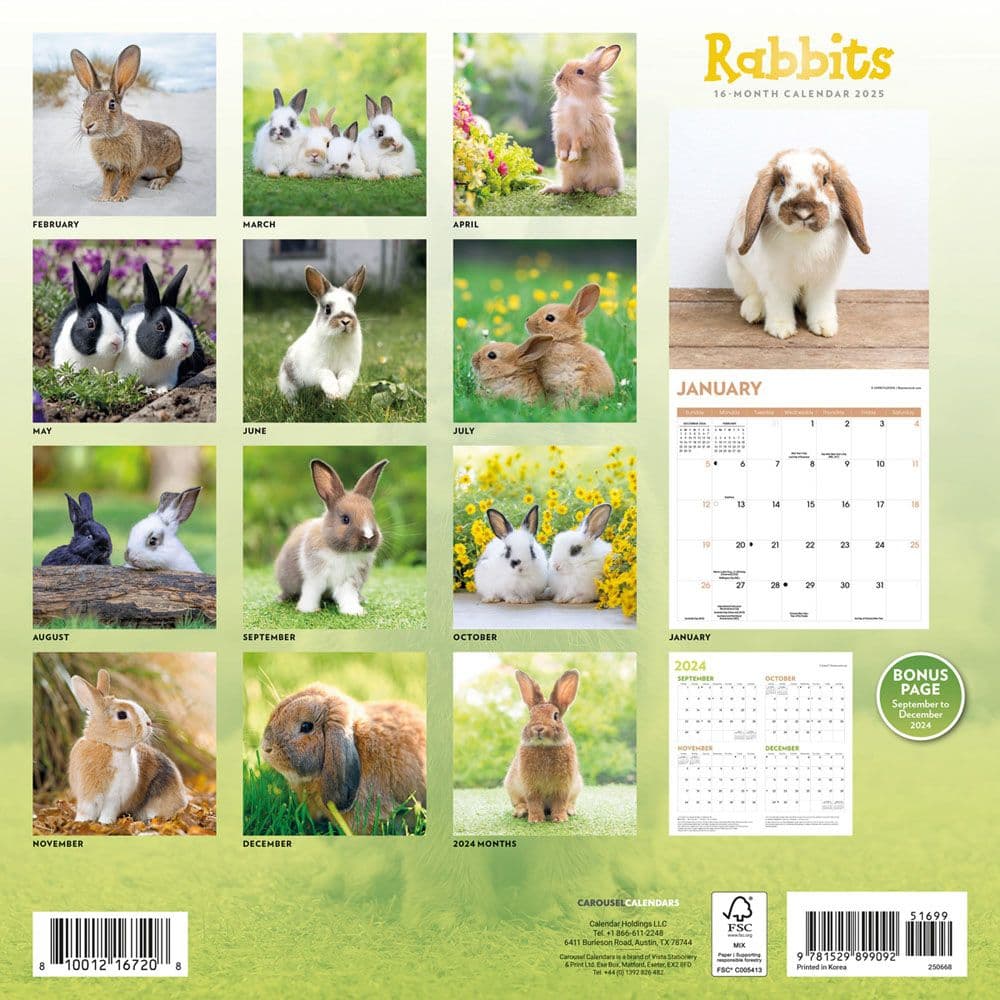 Rabbits 2025 Wall Calendar First Alternate Image width=&quot;1000&quot; height=&quot;1000&quot;