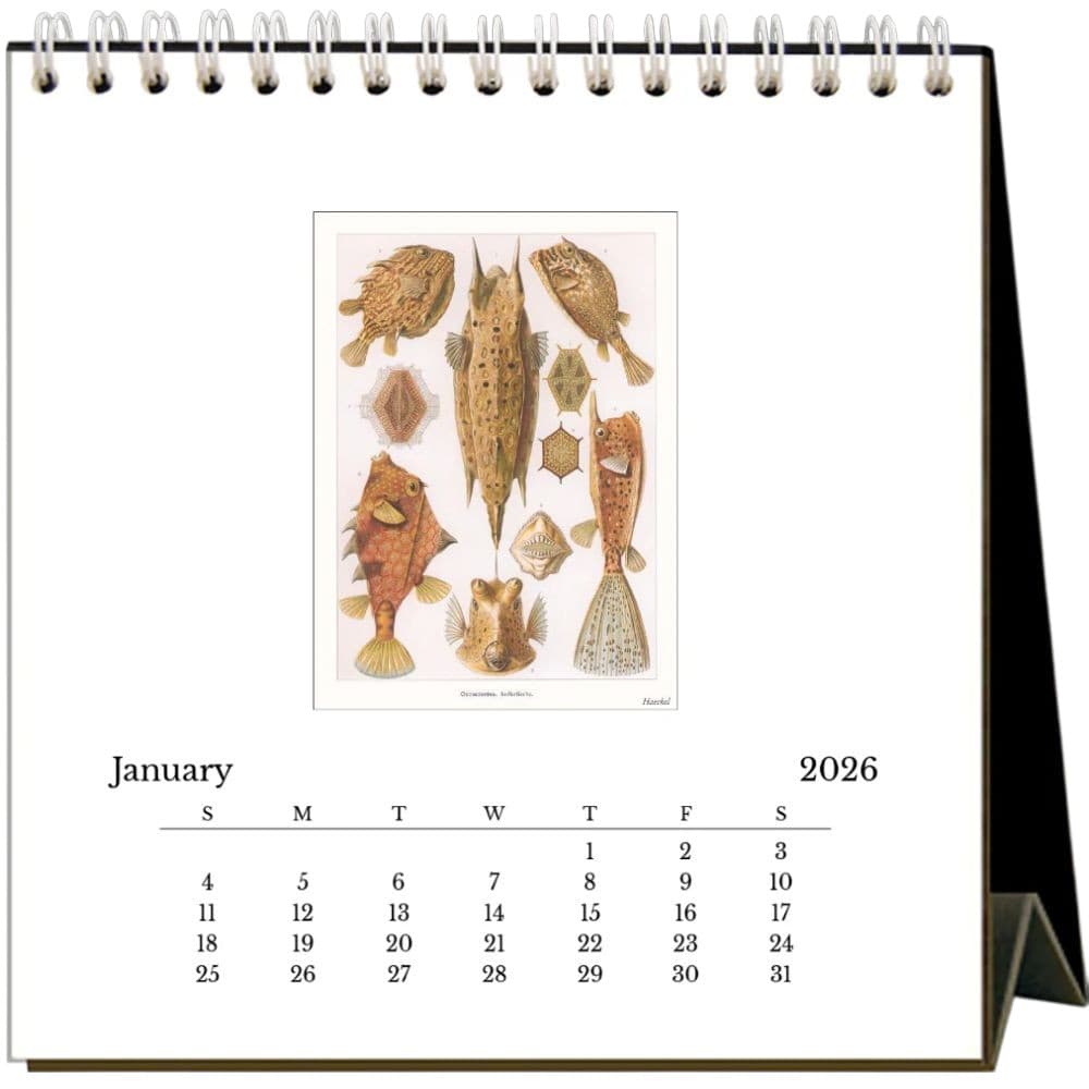 Art Forms of Nature 2026 Easel Desk Calendar Second Alternate Image