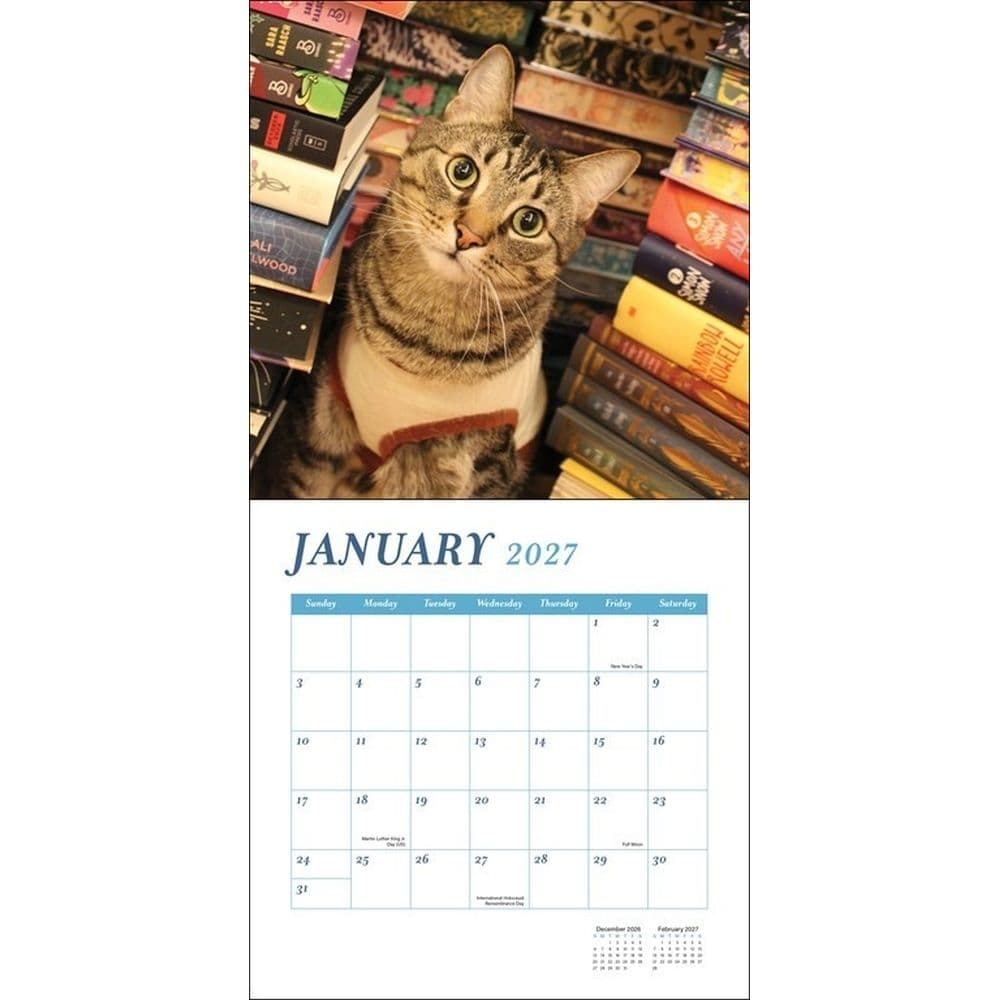 Cats and Books 2027 Wall Calendar Second Alternate Image