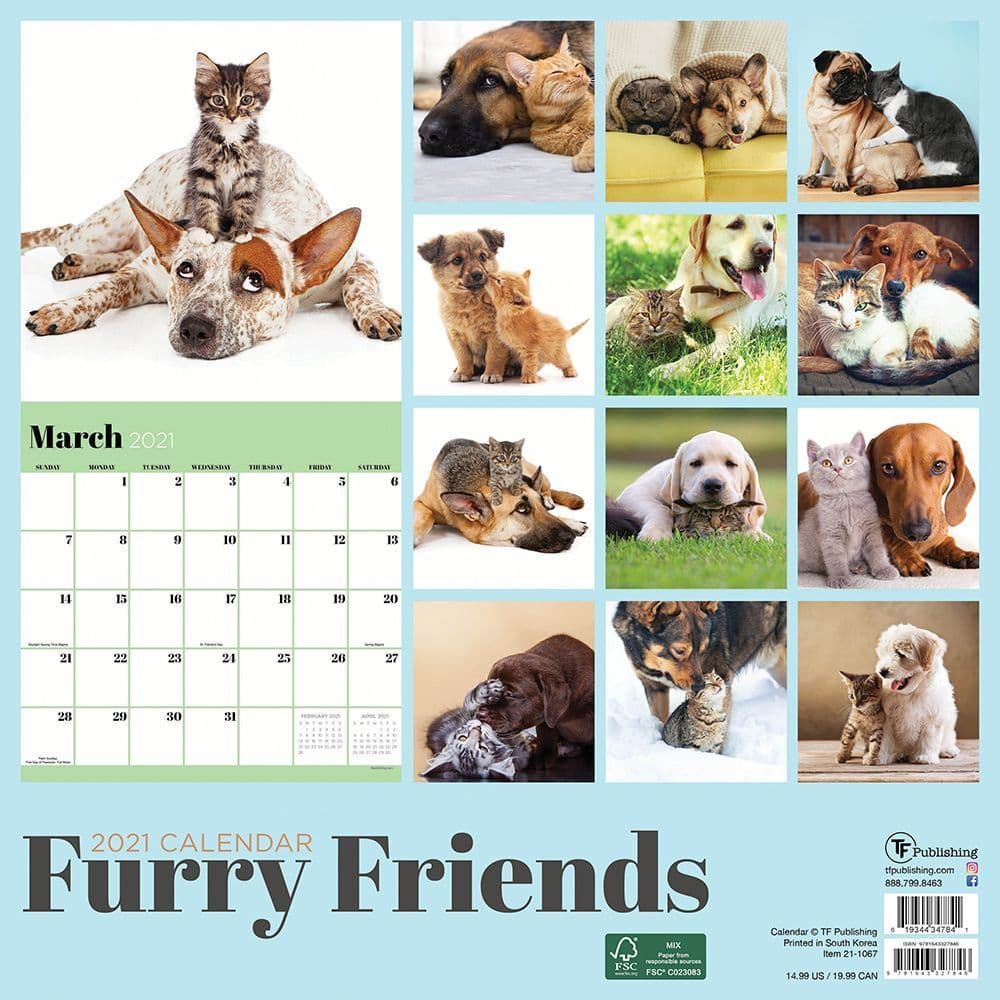 Furry Friends Wall Calendar