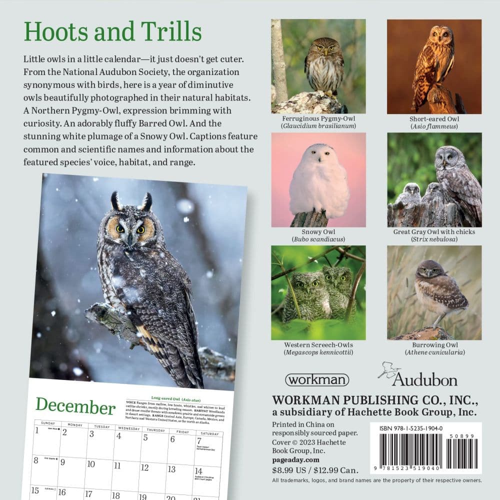 Audubon Little Owls 2024 Mini Wall Calendar First Alternate Image width=&quot;1000&quot; height=&quot;1000&quot;
