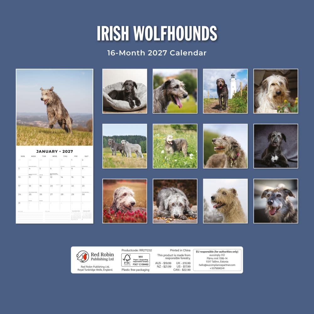 Irish Wolfhounds 2027 Wall Calendar First Alternate Image