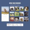 image Irish Wolfhounds 2027 Wall Calendar First Alternate Image