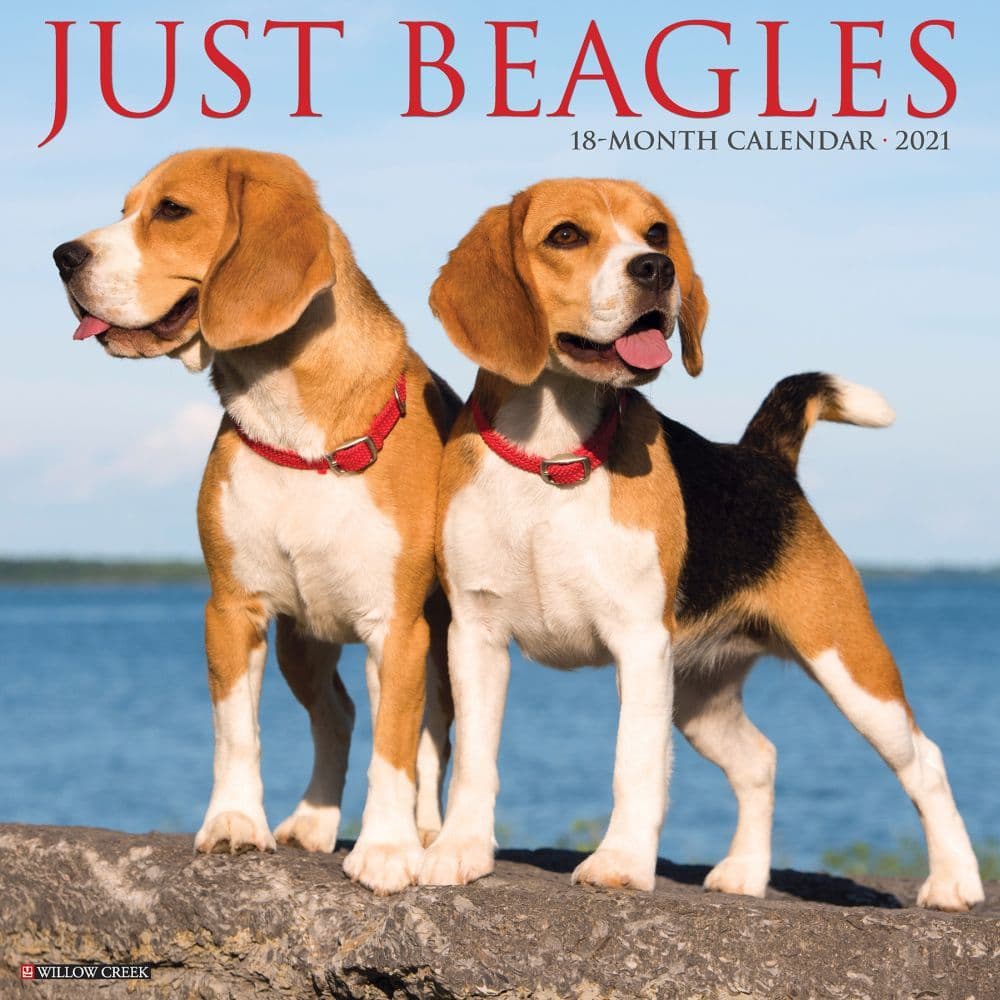 Just Beagles Wall Calendar