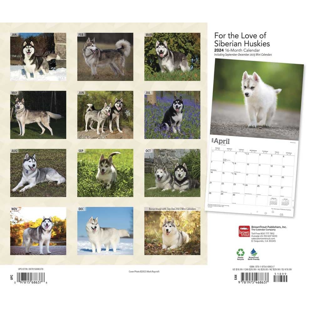 Siberian Huskies Deluxe 2024 Wall Calendar - Calendars.com