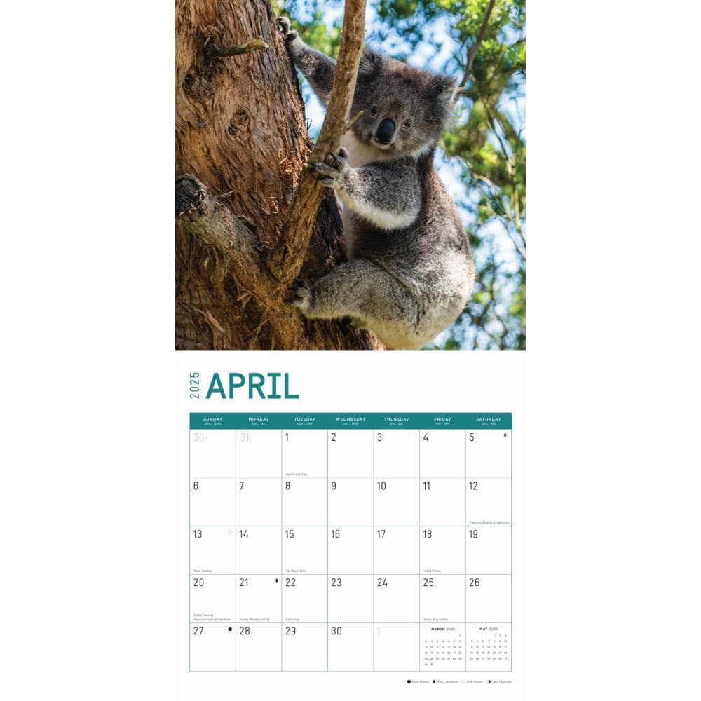 Australia 2025 Wall Calendar