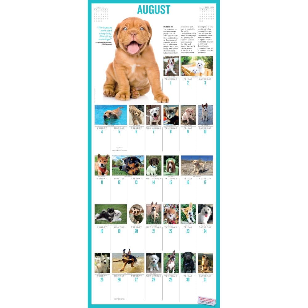 Puppies 365 Days 2024 Wall Calendar