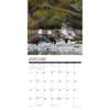 image Eagles 2025 Wall Calendar Second Alternate Image width=&quot;1000&quot; height=&quot;1000&quot;